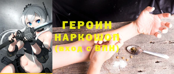 гашик Алексеевка