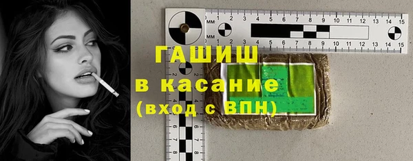 гашик Алексеевка