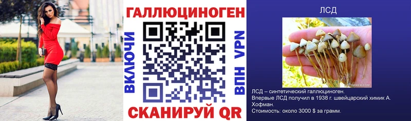 наркошоп  Сорочинск  Галлюциногенные грибы прущие грибы 